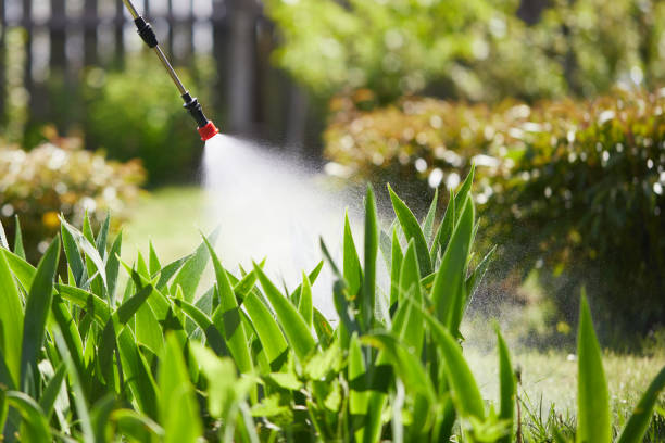 24/7 Emergency Ant Control experts in De Smet, SD